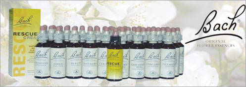 bachbloesems bestellen